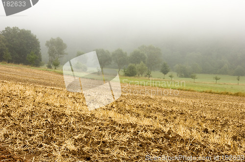 Image of Stubble mulch