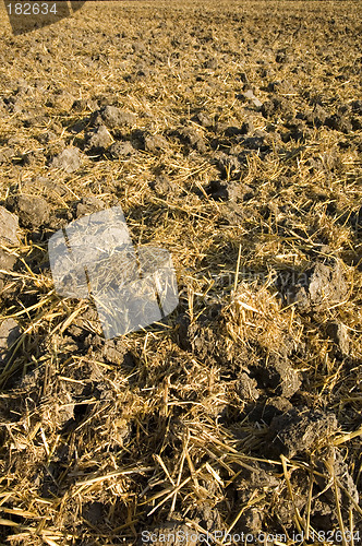 Image of Stubble mulch