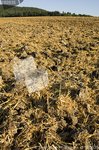 Image of Stubble mulch