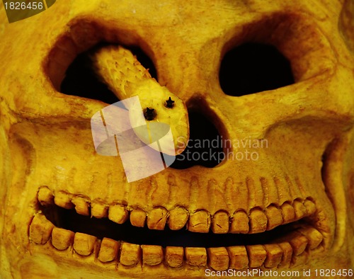 Image of halloween pumpkin background 