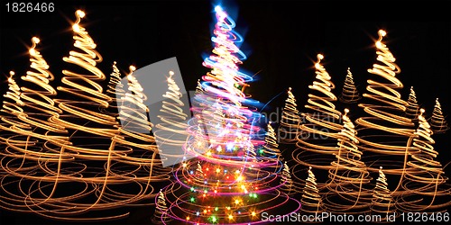 Image of christmas tree