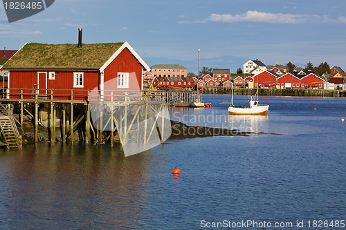 Image of Scenic Lofoten