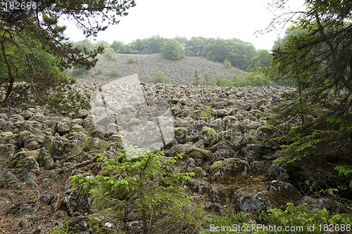 Image of Sea of basalt