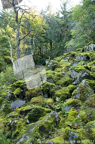 Image of Slope of basalt blocks 02