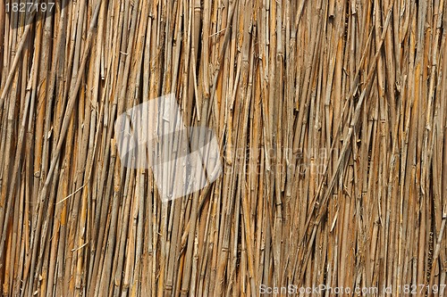 Image of Fragment of reed fence