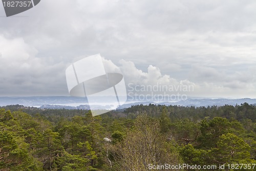 Image of view over forest with cloudy sky