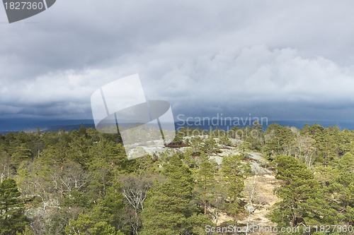 Image of view over forest with cloudy sky