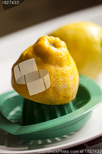 Image of Lemon