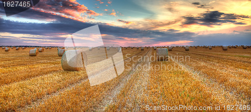 Image of Sunset over the field