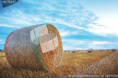 Image of Hay Bales