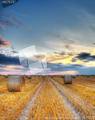 Image of Sunset over the field