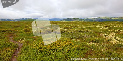 Image of Rondane Norway