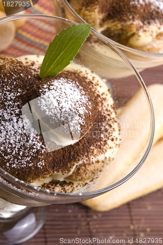 Image of Tiramisu Dessert 