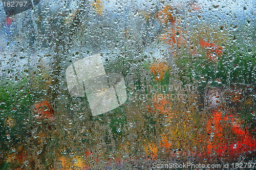 Image of People in the Rain