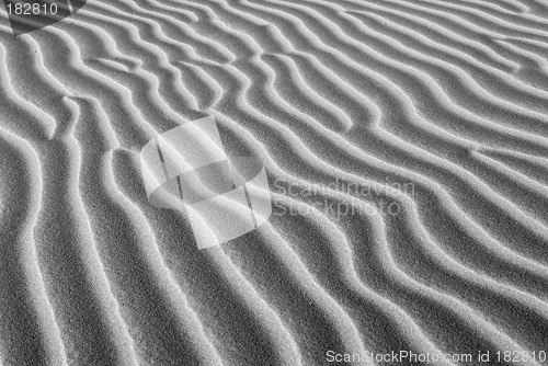 Image of Black and white image of ridges in sand dunes of California coas