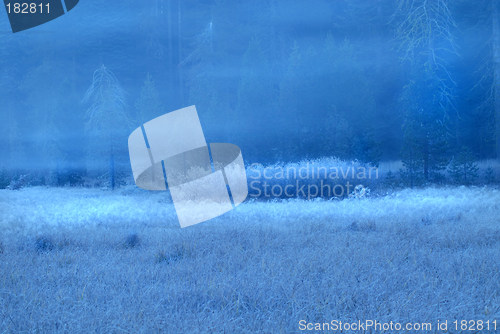 Image of Frosted early morning meadow in Yosemite National Park