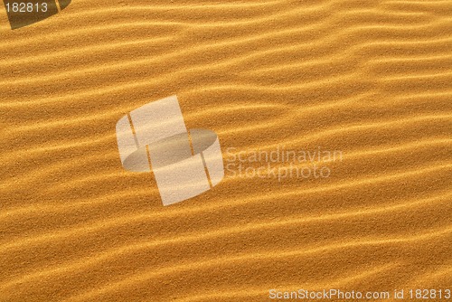 Image of Pattern of golden sand on sand dune