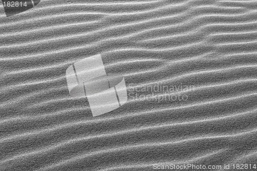 Image of Black and white pattern of ridges in sand dune