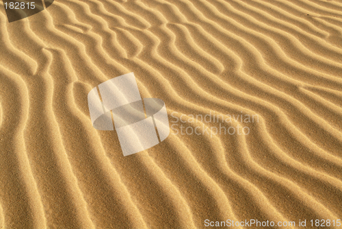 Image of Ridges of sand formed in sand dune