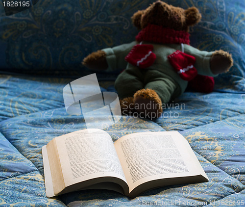 Image of Paperback book open on bed with teddy bear