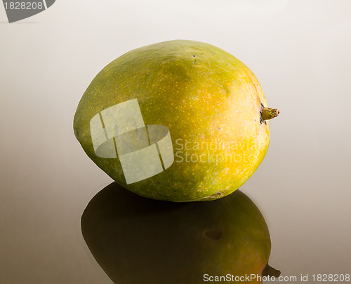 Image of Green mango on mirror like surface