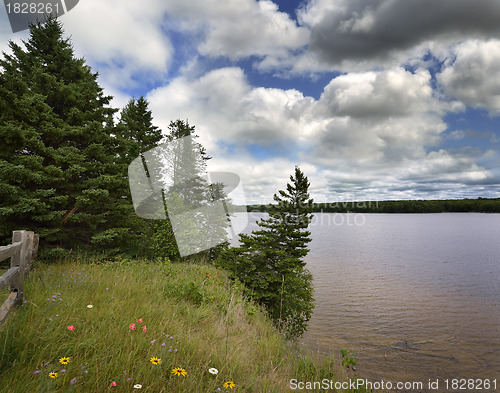 Image of Lake Shore