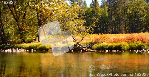 Image of Shore of Merced River in Yosemite National Park