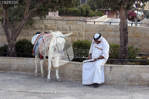 Image of Unidentified Bedouin man wait tourist near his mule in Jerusalem