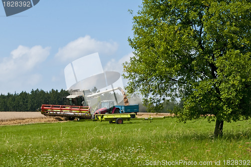 Image of harvester-tresher during work