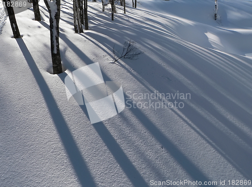 Image of winter snow background