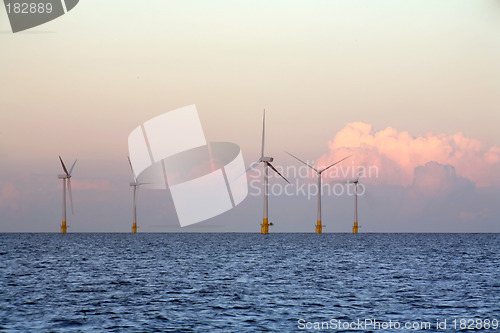 Image of Wind farm at sunset