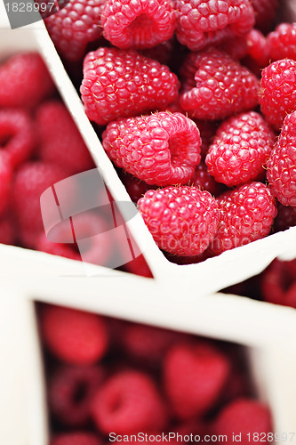 Image of lots of raspberries
