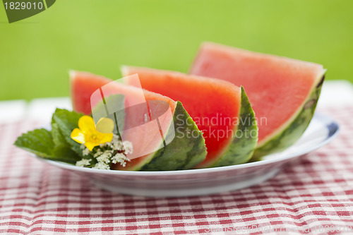 Image of Watermelon