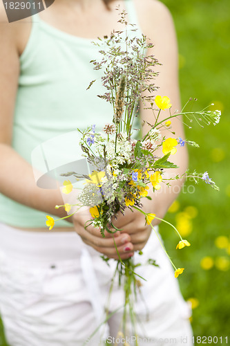 Image of Wild flowers