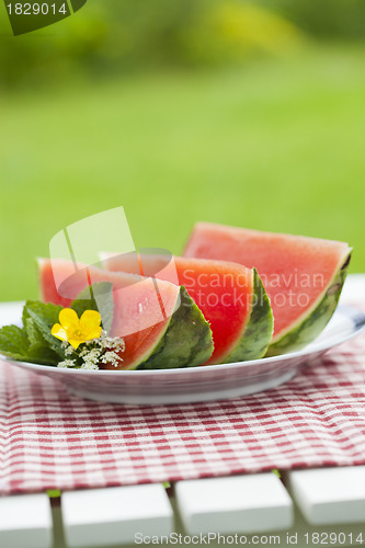 Image of Watermelon