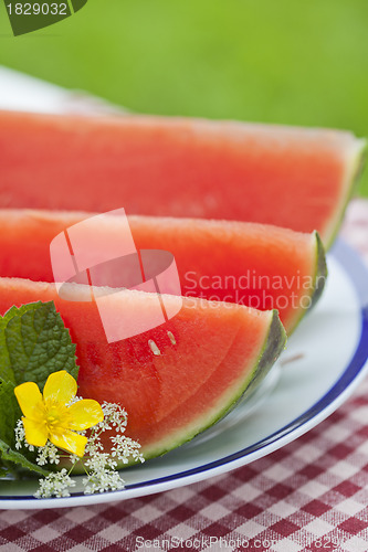 Image of Watermelon