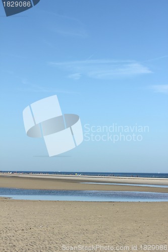 Image of low tide coastline