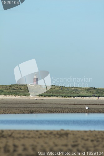 Image of low tide coastline