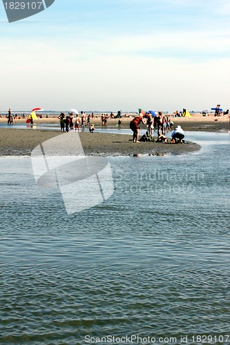 Image of people relaxing on the beach
