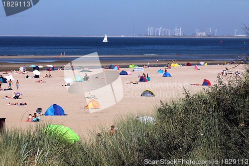 Image of people relaxing on the beach behind reed 