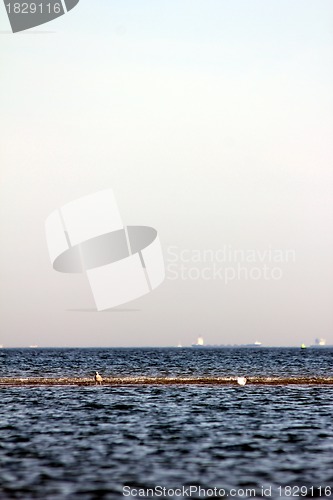 Image of single wave at the seaside