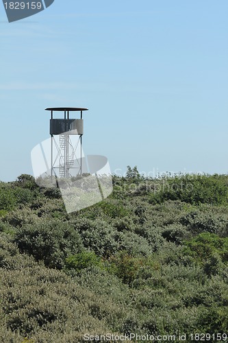 Image of watch tower in beach dunes plants