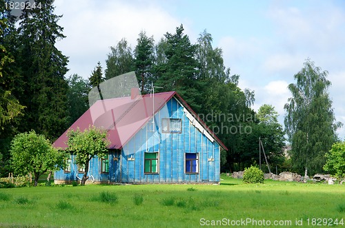 Image of The house and plants