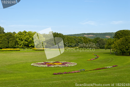 Image of Rheinaue Park in Bonn