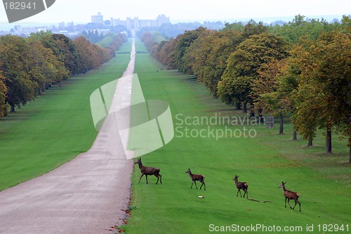 Image of Long Walk, Windsor