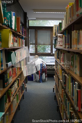 Image of Student in Library