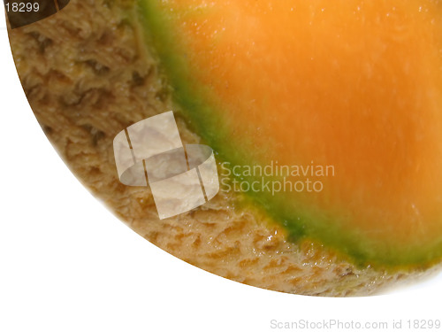 Image of Cantaloupe Sliver