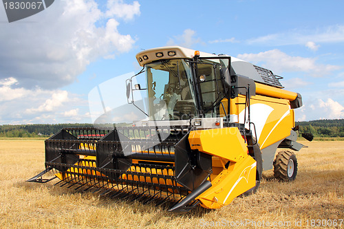 Image of Modern Combine Harvester on Field