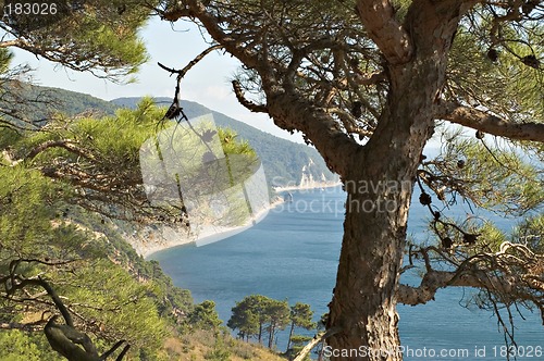 Image of Sea coast