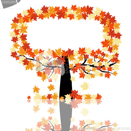 Image of Autumn maples